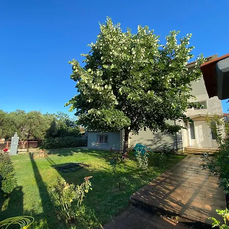 Apartman Filemial House